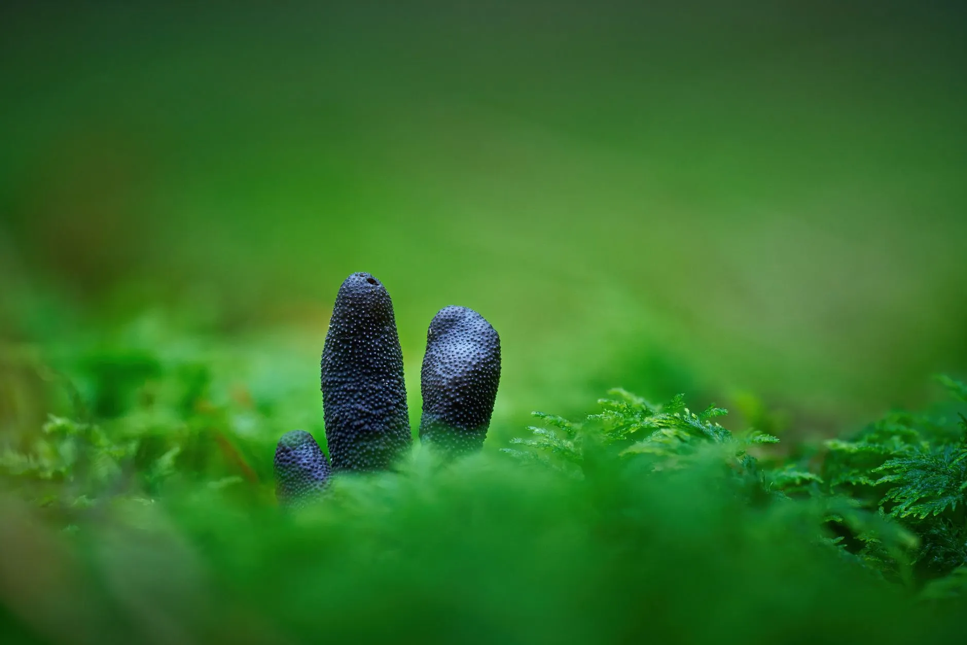 水泥与砂石料采购中质量控制的关键环节与常见问题